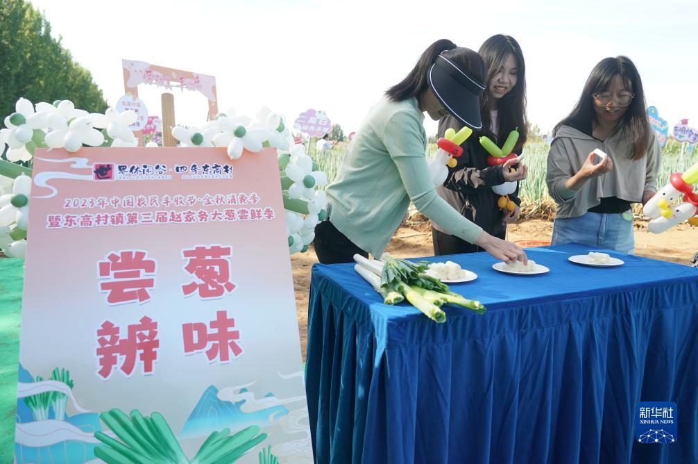 开户就送体验金